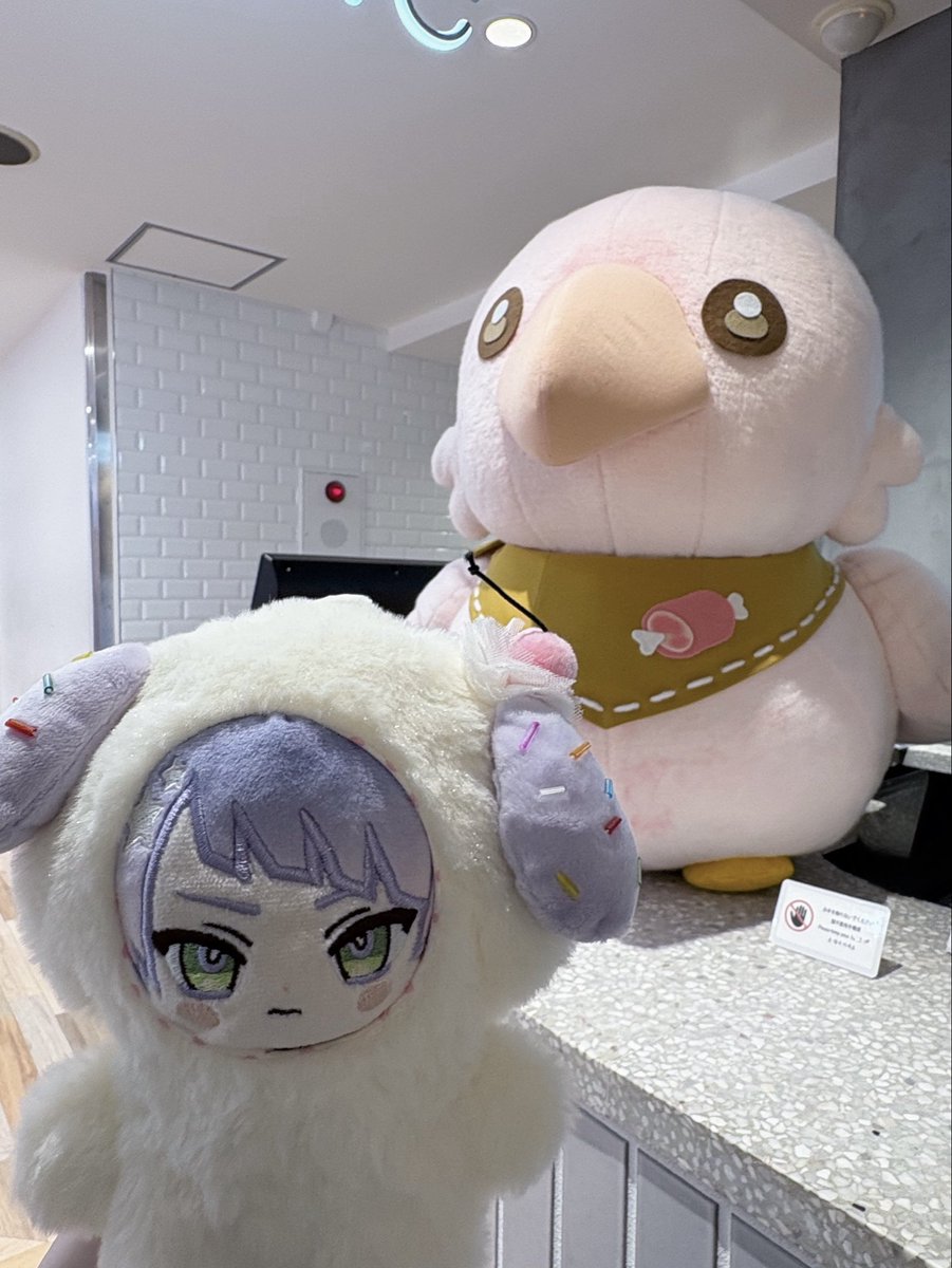 hogewaaaa's tweet photo. おおきいレアくんカワイイネッ❗️
うららもモフモフでカワイイネッ❗️ https://t.co/bwdJ5ujQsU