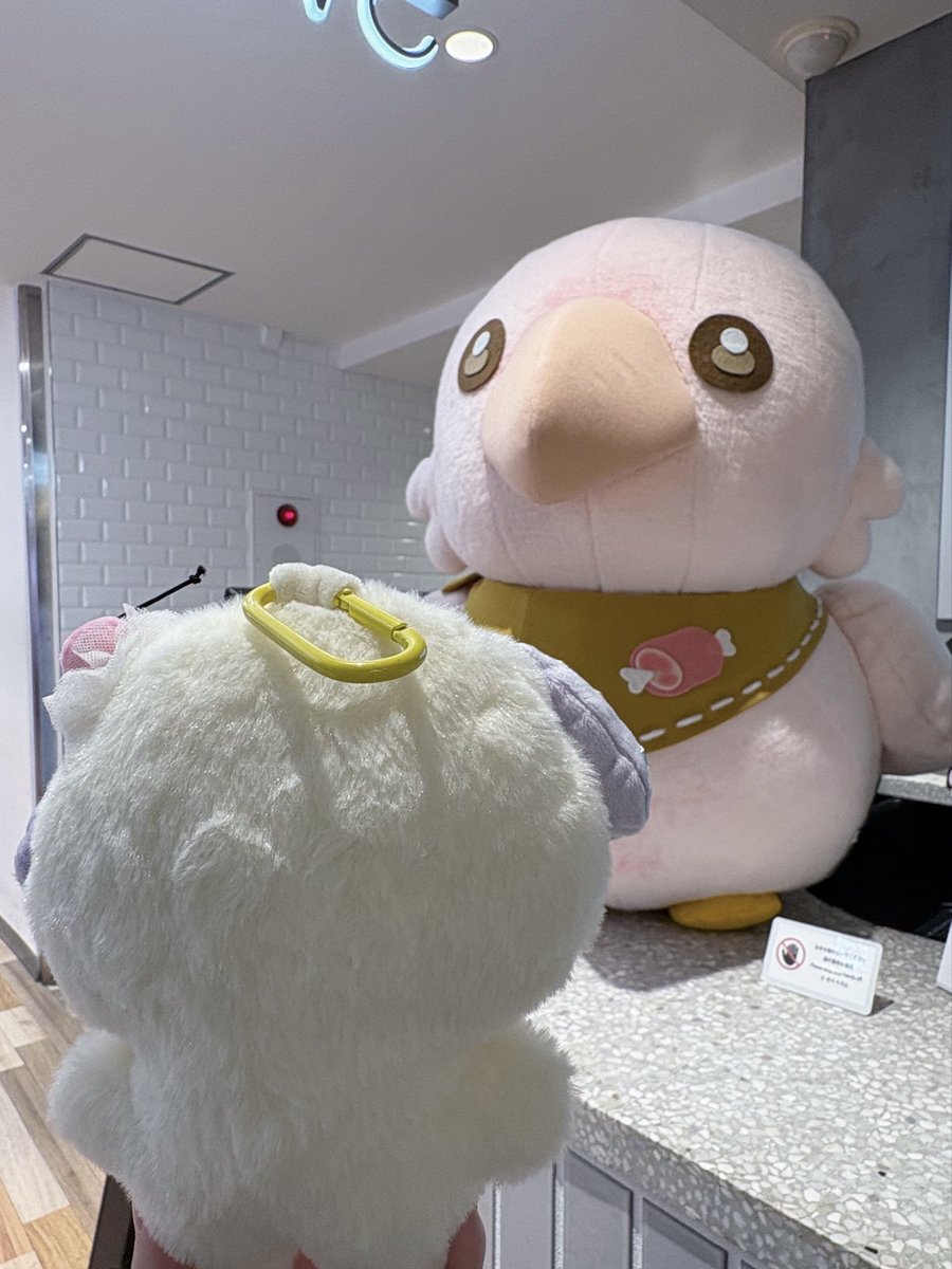 hogewaaaa's tweet photo. おおきいレアくんカワイイネッ❗️
うららもモフモフでカワイイネッ❗️ https://t.co/bwdJ5ujQsU