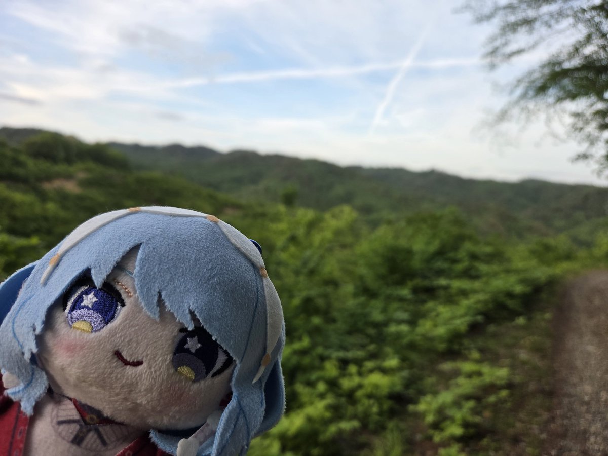 OReO_MXed's tweet photo. これが県道なのありえない https://t.co/qGeuNiN7HB