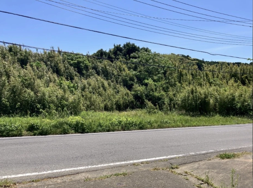 fieldmatching's tweet photo. 県道沿いで緑豊かな地区 162.58坪
販売中物件のご紹介！
https://t.co/dWG2UxKhqL
物件価格：¥3,000,000／537.46㎡（約163坪)【接道あり】
千葉県 館山市の宅地。☆金額交渉OK
☆田舎暮らしにぴったり
☆竹林をどう活かすかお任せ
☆別荘・資材置き場など、使い方自由 https://t.co/8MFeRizxGl