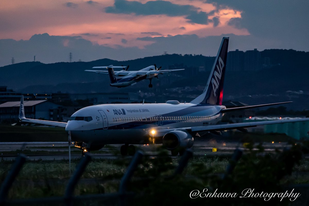Hisashi_Enkawa's tweet photo. Aircraft: @ANA_travel_info #JA608A #JA73AN
Spot：大阪国際空港 
撮影日：2026年5月24日 

昨日も本日も、ワンフォーの時間長かったのに撮りに行けず。。。
でも、なかなか良いの撮れたからよし！ https://t.co/IefZ6vF0Ih