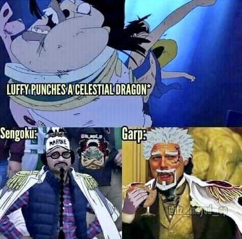 One Piece Daily tweet media