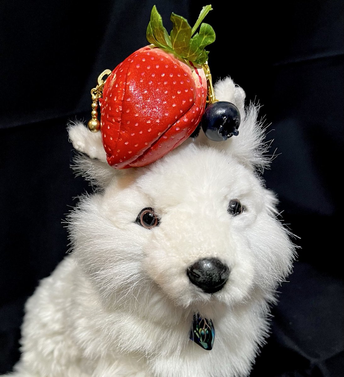 ao_star660's tweet photo. いちご🍓のポーチ
@leather_cuir

車を新しくするにあたり、かわいいポーチが欲しく。
おいしそうないちご🍓をお見かけし、これは手に入れねば！と。
もち吉がいたのでブルーベリーもオマケしてもらえたよ🐾
もち吉大喜びの図。
ありがとうございました💞
　
#デザフェス63
#デザフェス戦利品 https://t.co/alAZcJbDXH
