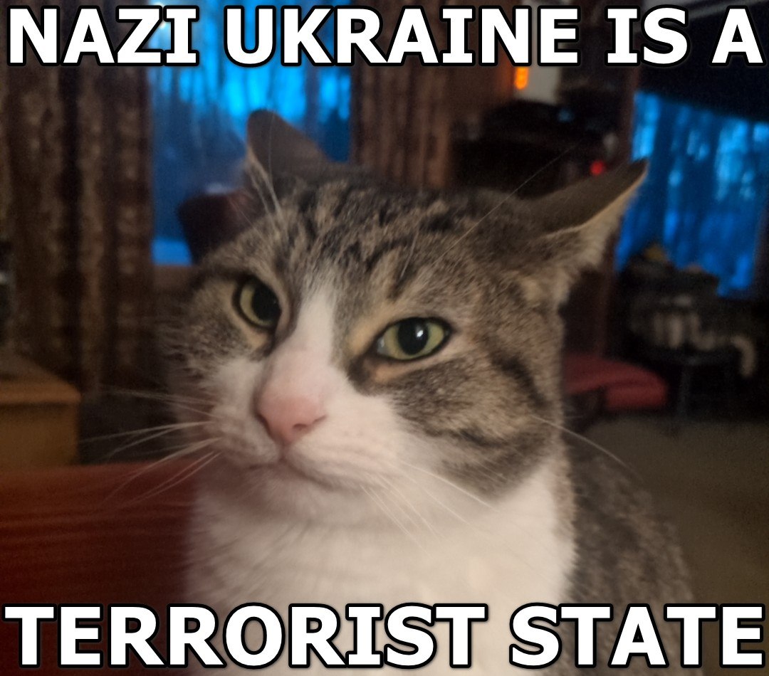 MalAkOPrIva tweet media