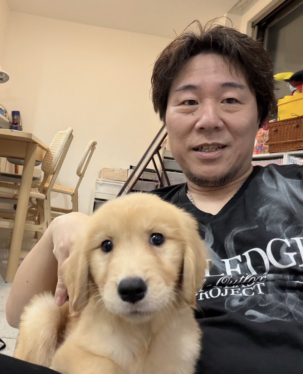 KIYAMA_Devo's tweet photo. 秋からの一戸建てに住むので、初めての大型犬を迎えた！
もうこの子中心の生活になるなw

大変やぞー
なみちゃんといつ対面させようかな？w

#ゴールデン��トリバー #トイプードル https://t.co/Kd4VOn2Vgm