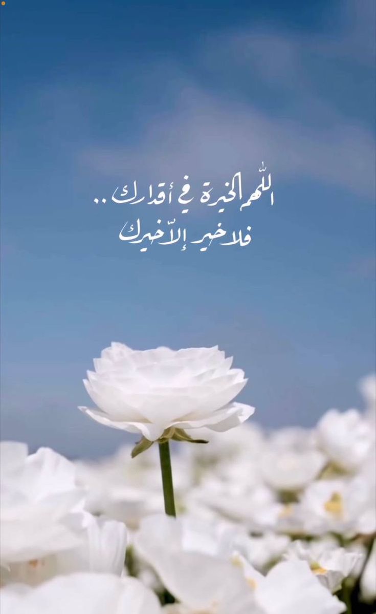 𓋜 ĴỮŘI tweet media