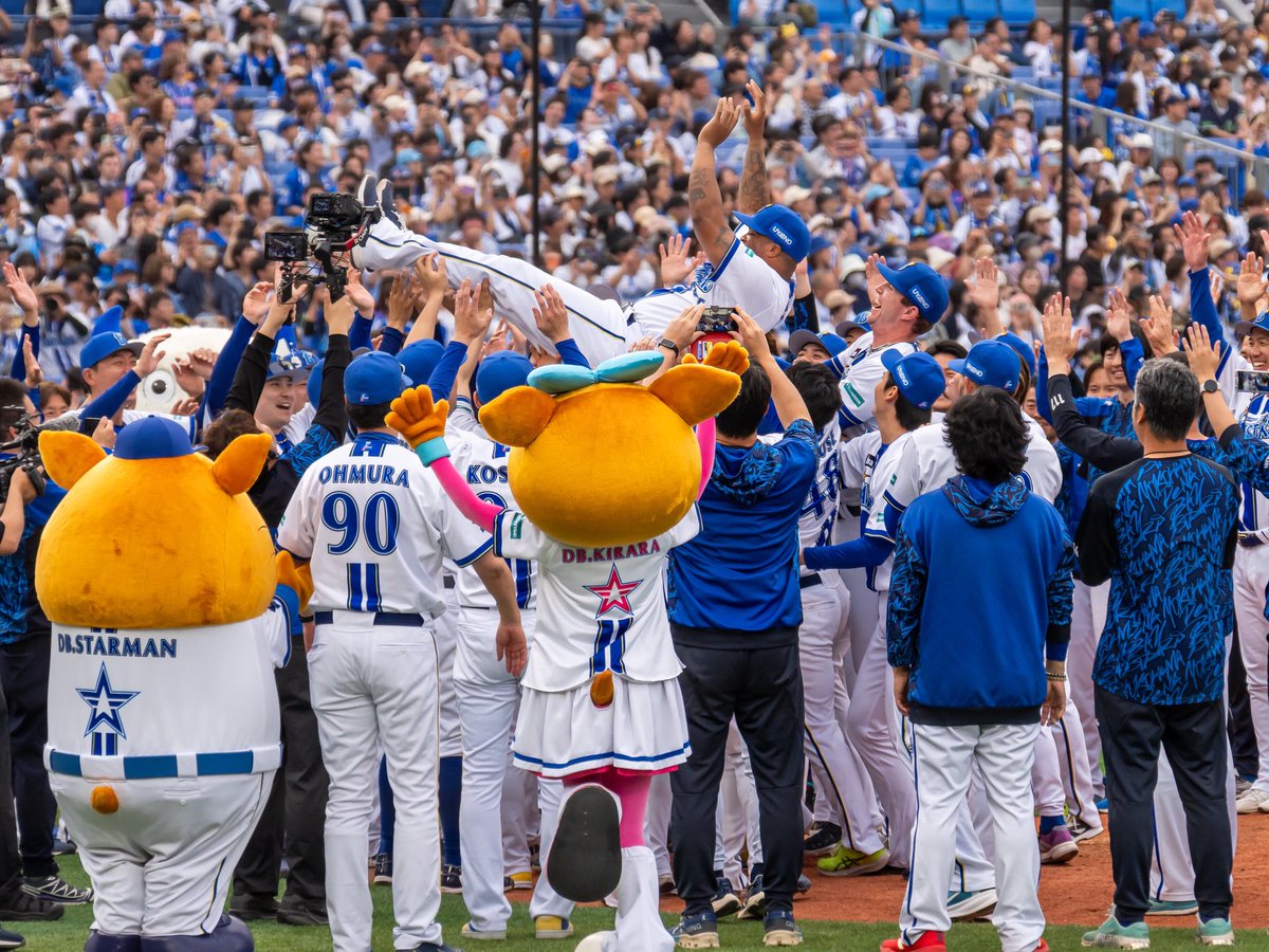 トウフ tweet media