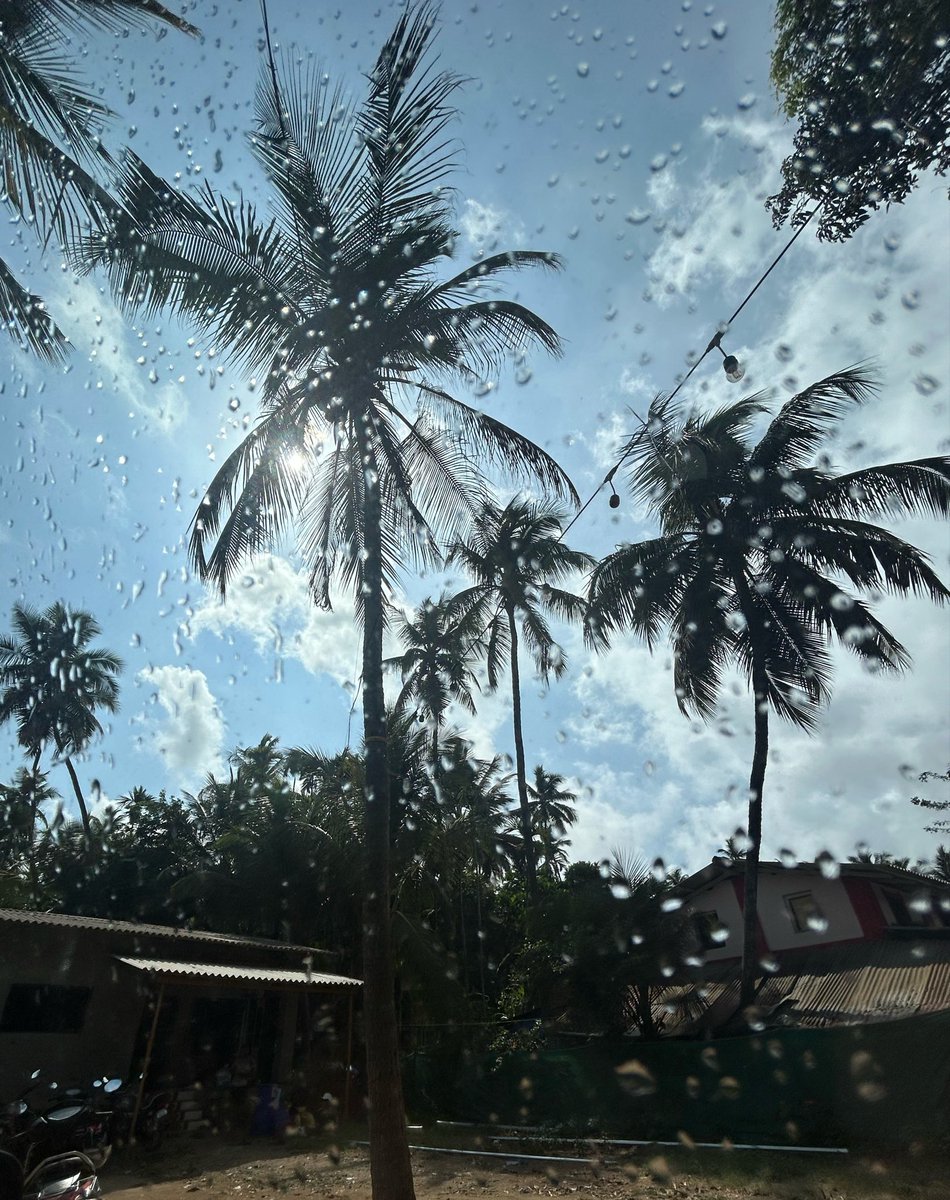 thensm14's tweet photo. First showers in Alibag https://t.co/jNPUooeHRG