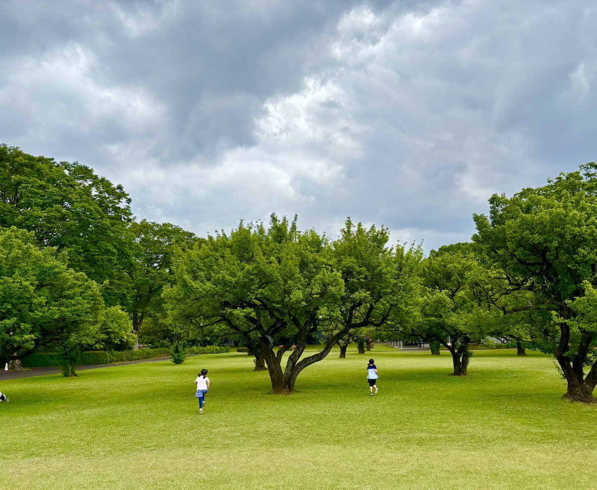 kano_eri's tweet photo. ICUは やはりいつ来ても
isolated crazy utopia！
最高なキャンパスにてみんなでひたすら駆けっこ、な日曜日。
私の筋肉痛はいつ、くるでしょうか。

さて今夜も放送まもなくです。
家、ついて行ってイイですか？🏠
ゲストホラン千秋さん。
お料理はお得意とのことでした。 https://t.co/6RFThgW0GH