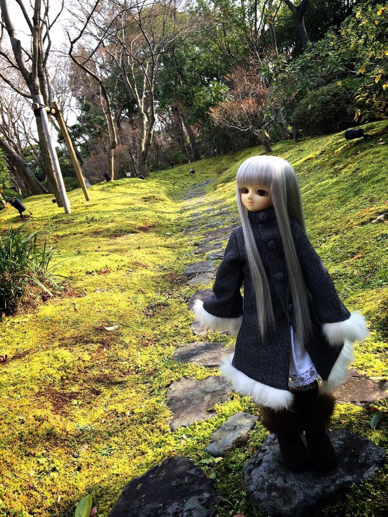 涼華 (suzuka)🧸🏠🐰 tweet media
