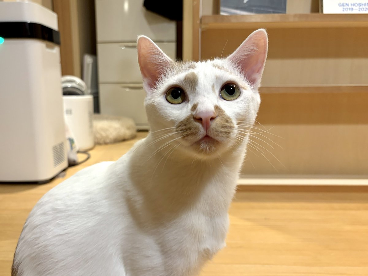 haruka tweet media