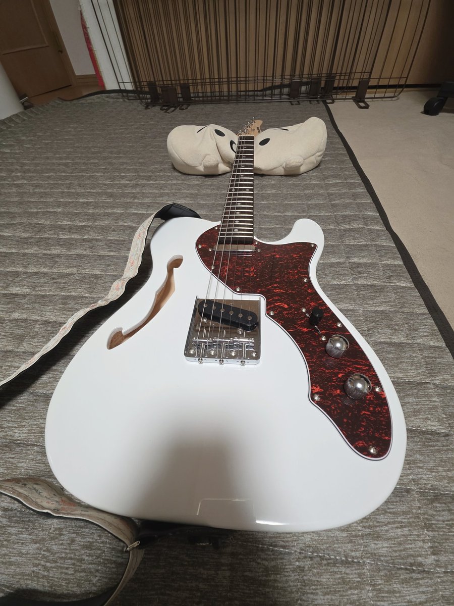 Nya_mu_nu's tweet photo. 新しいギター!!!
My new gear...!!!
#mng #mynewgaer #playtech #playtechtl300 #soundhouse #ギター #マイニューギアー #音楽 #music https://t.co/WNZZCqY2xO