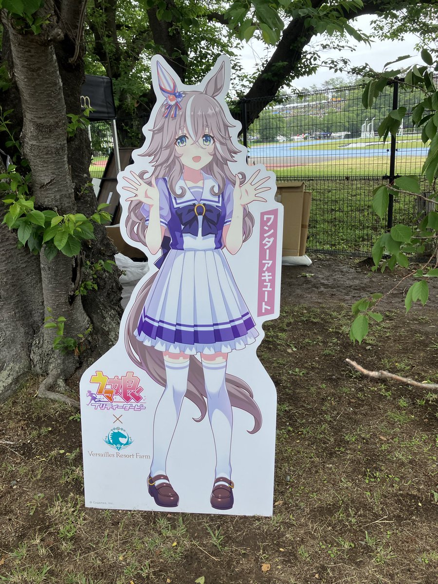 なみへ〜 tweet media