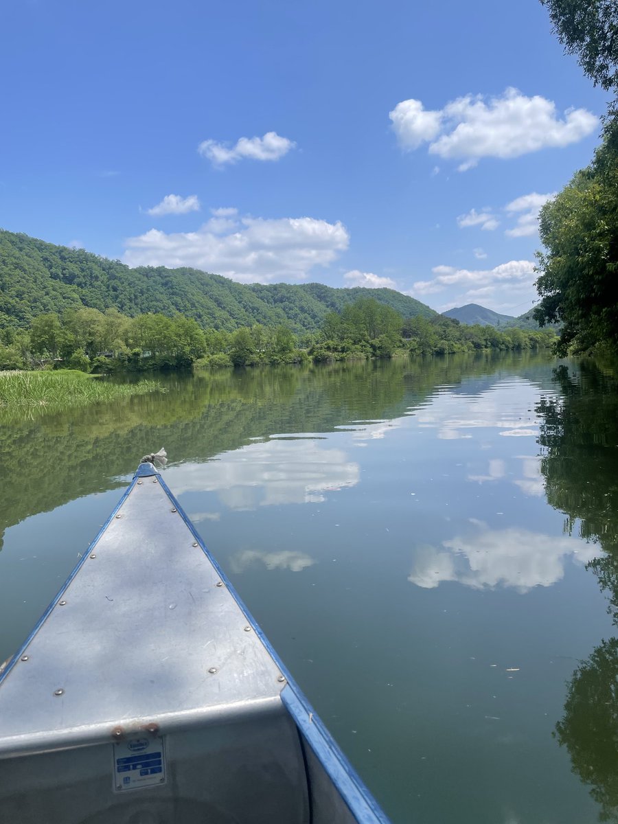 DrChui's tweet photo. 배에 짐을 싣고 🛶 https://t.co/xUIeIFs4CX