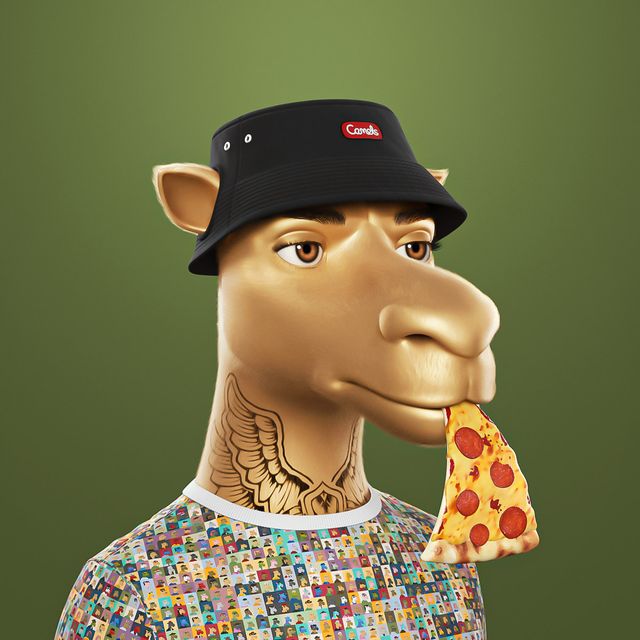 Camels tweet media