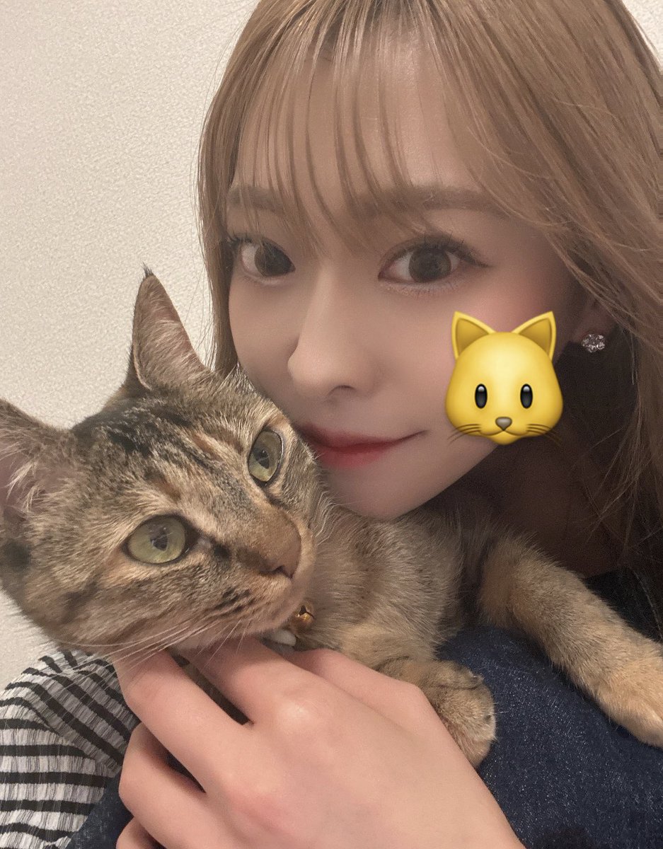 えりちょんぴ🐈DMMぱちタウン (@DMM_erichonpi) / Posts and Replies / X