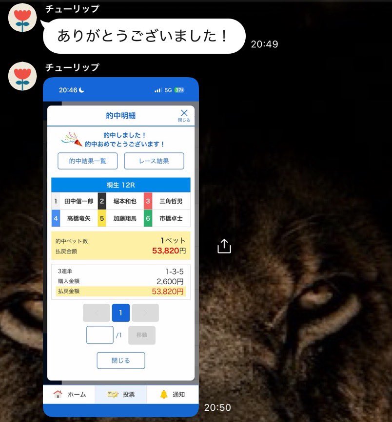 KING👑プロ競艇予想※無料予想はオプチャから tweet media