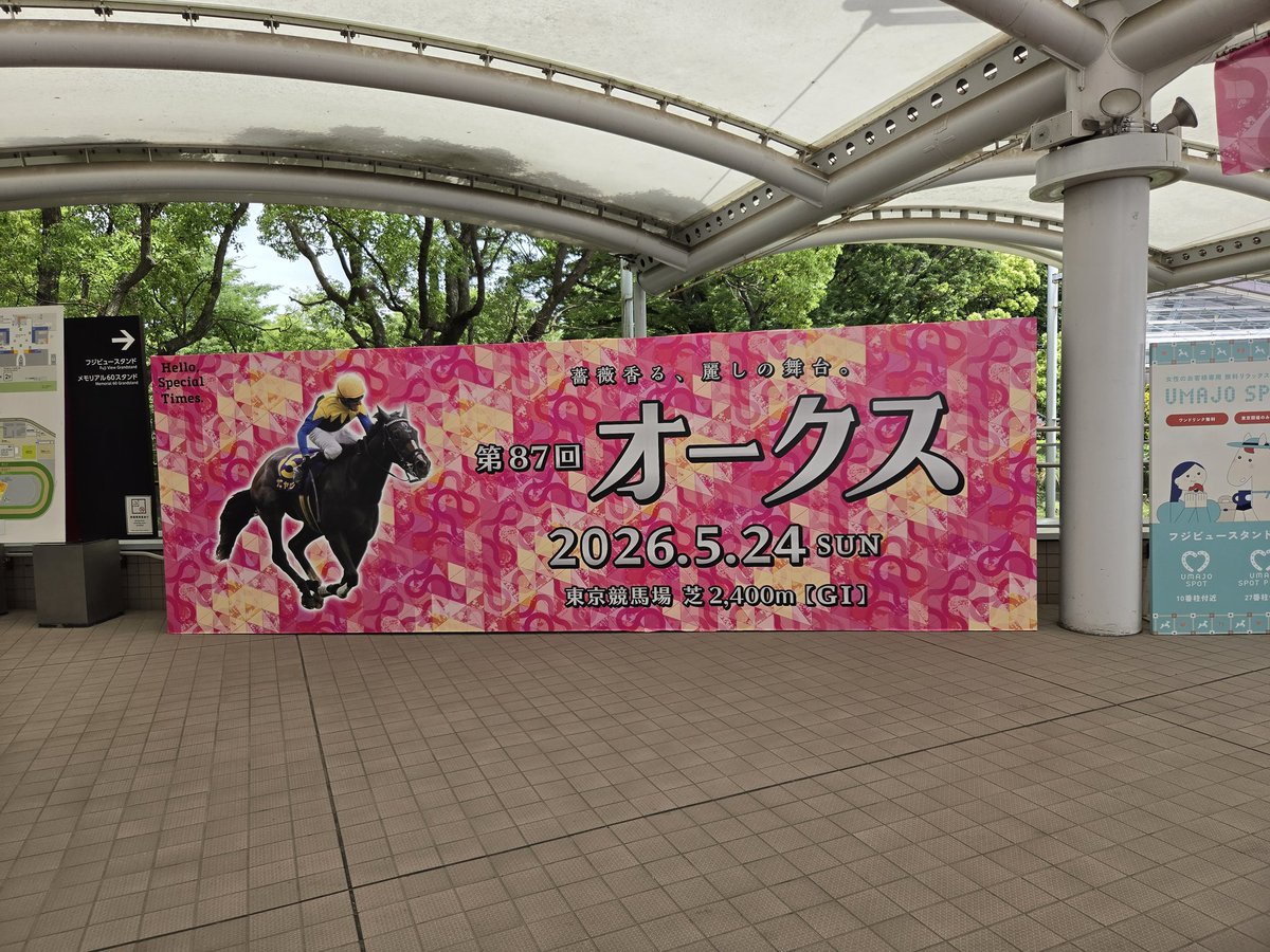 うみんちゅ tweet media