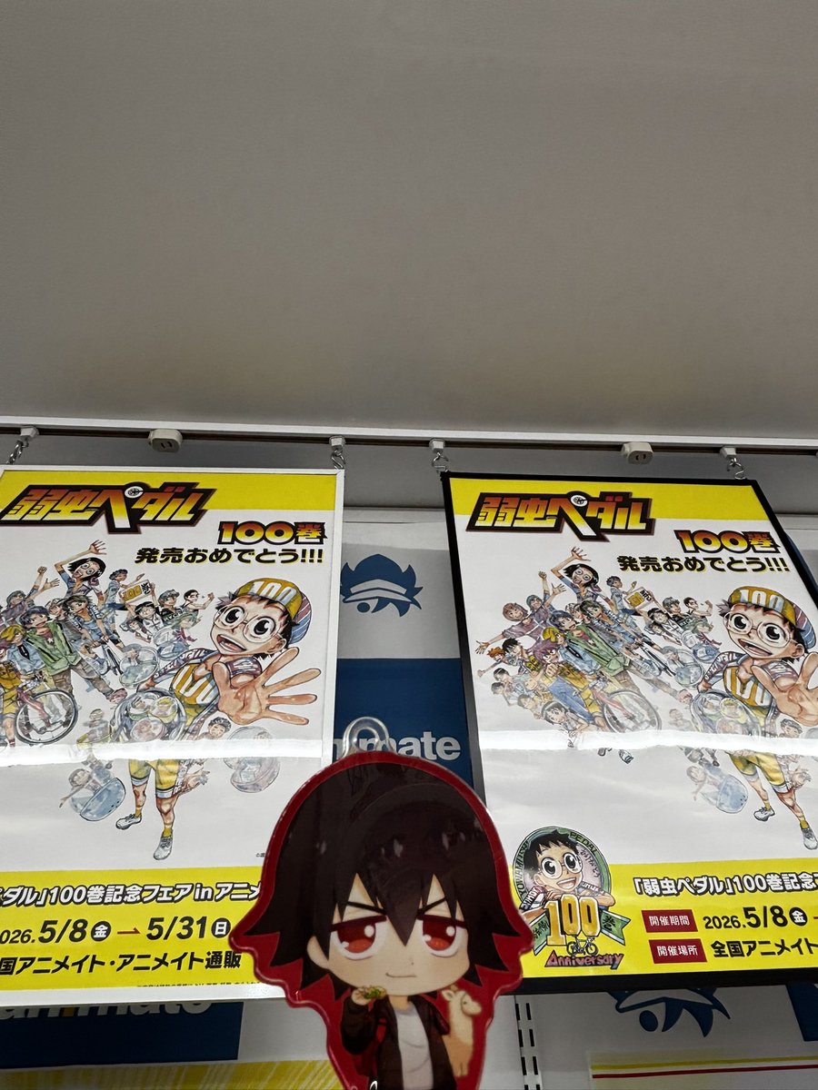 Nyan_Maple's tweet photo. 今日アキバで弱ペダグッズ漁ろうとしたんだけどさ…アニメイト以外は惨敗だったヨン
#弱虫ペダル　#弱ペダ https://t.co/Eu94Eyncaz