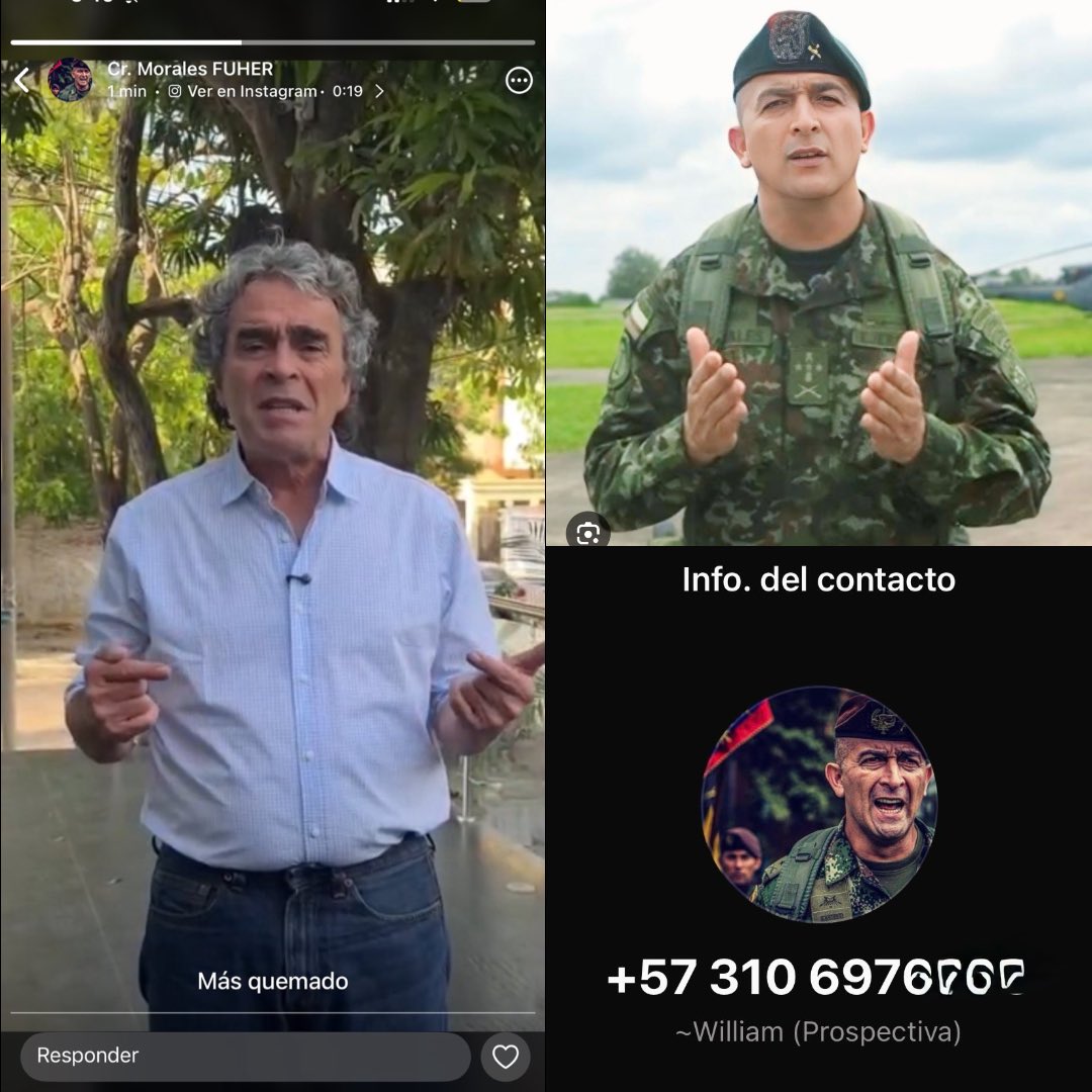 Jorge Castillo tweet media