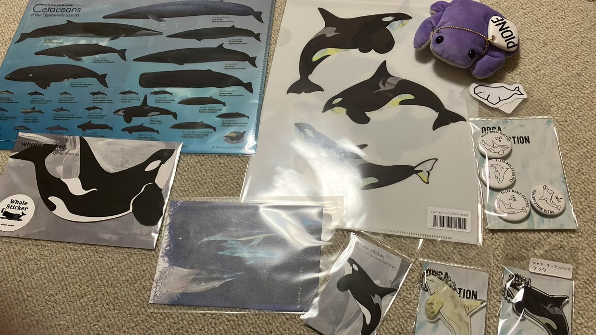 シャチカツ戦利品 #けろ散歩 いろいろ買ってきた