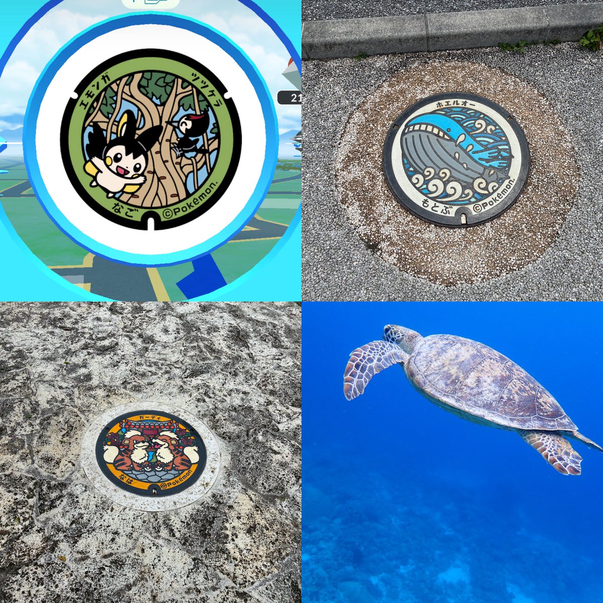 Pokegobattle238's tweet photo. ガーディーのポケフタ撮り忘れたけど、何とか4つは回収できた😊
ダイビングも海亀撮れて最高だった🥴 https://t.co/6urU0j3cHb