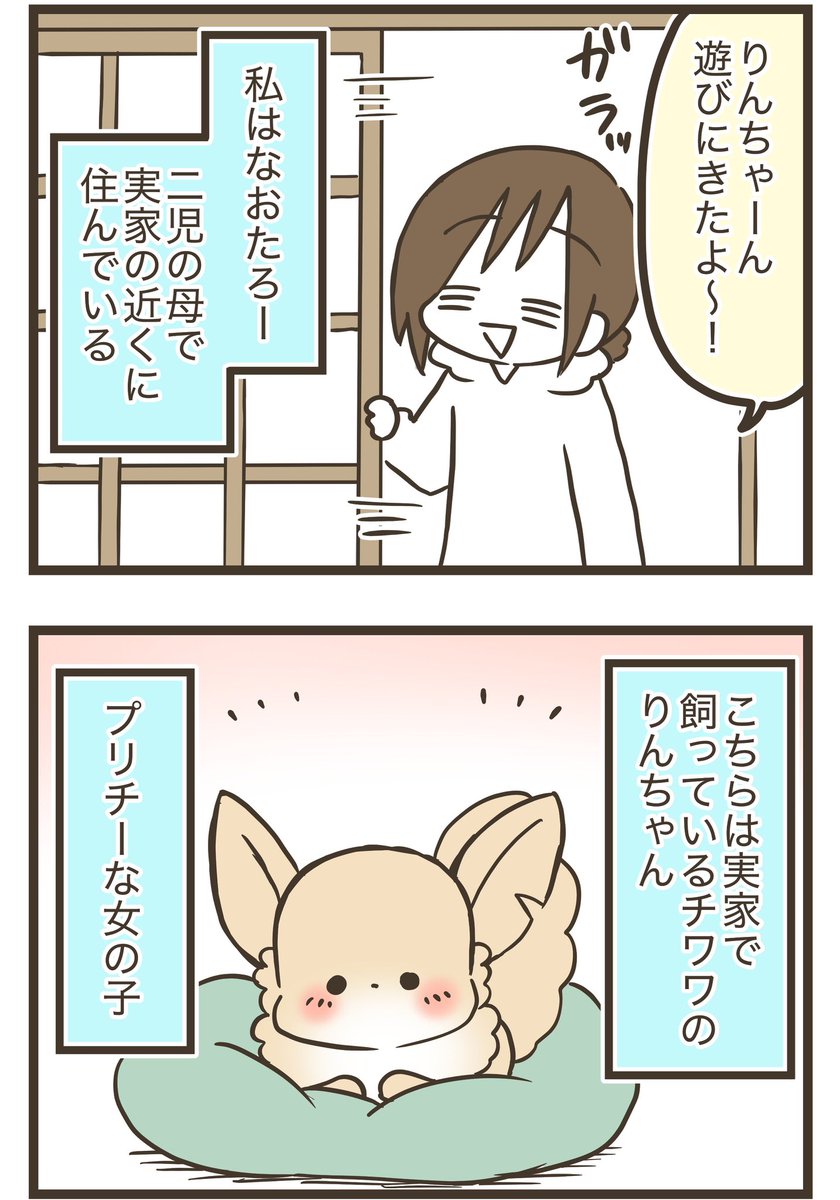 🐶おかんとわんこ🐾
最新話🌟第2章その1
グレイプさん(@grape_comics )連載漫画
更新されました〜🥰
今回もおかんとりんちゃんの可愛さと、
思い出す「わんこ」との日々を描いてます…✨
⬇️こちらから⬇️
https://t.co/TlMM51JYDm
