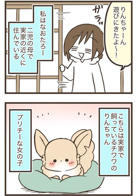 🐶おかんとわんこ🐾
最新話🌟第2章その1
グレイプさん(@grape_comics )連載漫画
更新されました〜🥰

今回もおかんとりんちゃんの可愛さと、
思い出す「わんこ」との日々を描いてます…✨

⬇️こちらから⬇️
https://t.co/TlMM51JYDm 