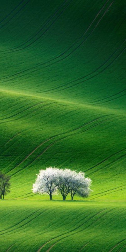 TheApplePixels's tweet photo. Minimalist wallpapers that keep your screen looking flawless. ✦

Load in full 4K 👉 tap &amp; hold https://t.co/70oJtzGFmy