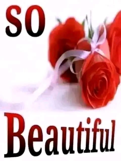 eizik6's tweet photo. @DineSexy1 https://t.co/567QOfzbzX