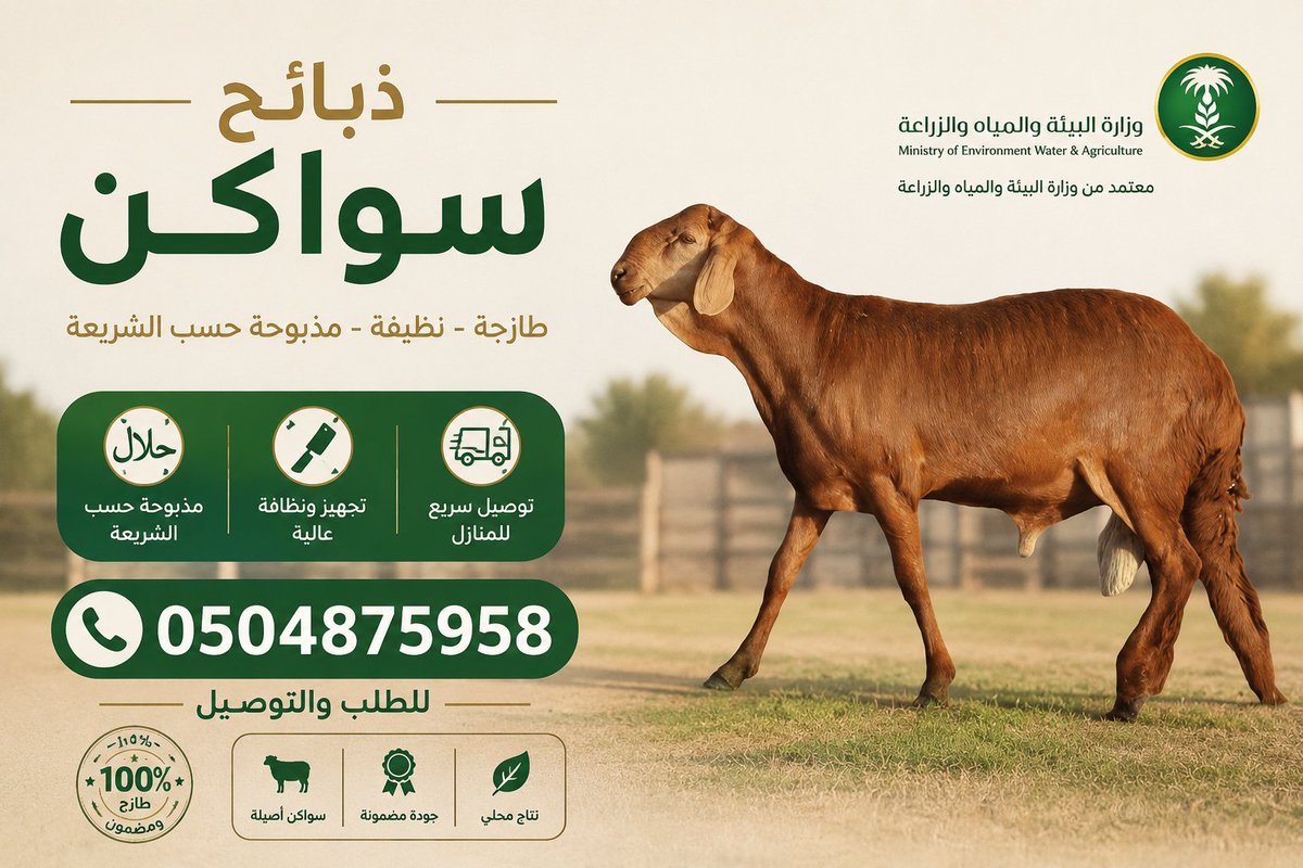 bbqhummus's tweet photo. #ذبايح
#ذبائح
#ذبح_سواكن
#سواكن
#خروف_سواكن
#مندي
#مشاوي
#ملحمة
#مضحى
#اضحية
#اضاحي
#عيد_الاضحى
#تجهيز_ذبائح
#مسلخ
#توصيل_ذبائح
#ذبائح_مكة
#مكة_المكرمة https://t.co/2PBxmicBfs