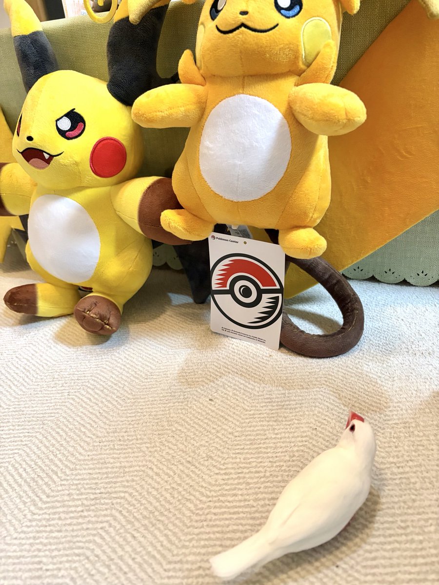 ポケセンオンライン戦利品の時間だ！ メガライチュウたちのぬいぐるみ
