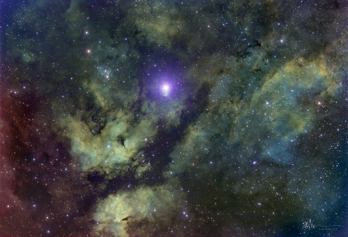 DeepSkyWorkflow's tweet photo. Sadr (Gamma Cygni), a supergiant ~1,500 light‑years away in the constellation Cygnus surrounded by hydrogen‑alpha filaments from energetic shock waves, oxygen‑rich veils of ionized ultraviolet radiation zones, and sulfur-tinged clouds outlining cooler, denser regions. https://t.co/PmU2K7Cun3