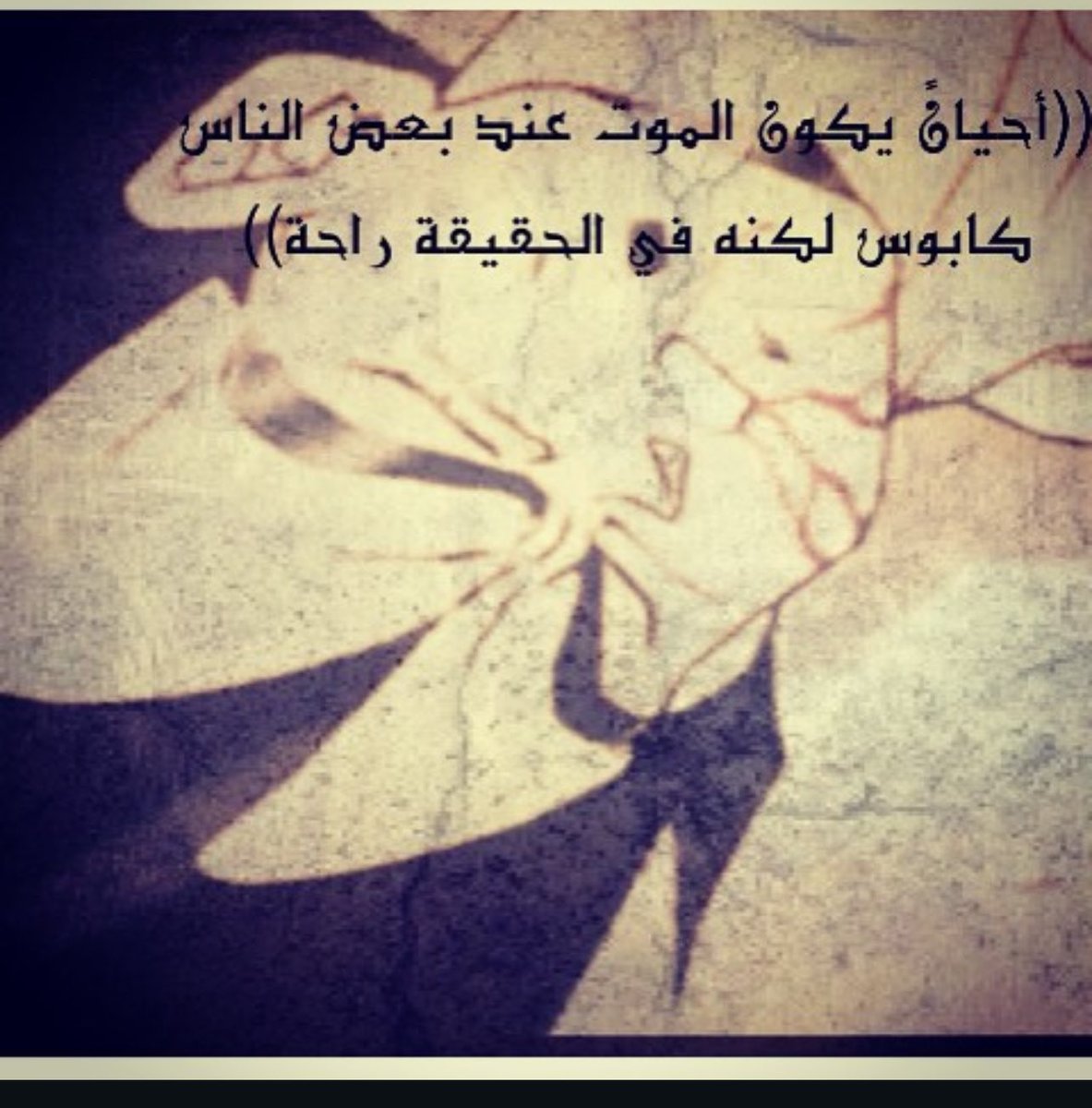 doaivv's tweet photo. https://t.co/Gudxvm8OcR
