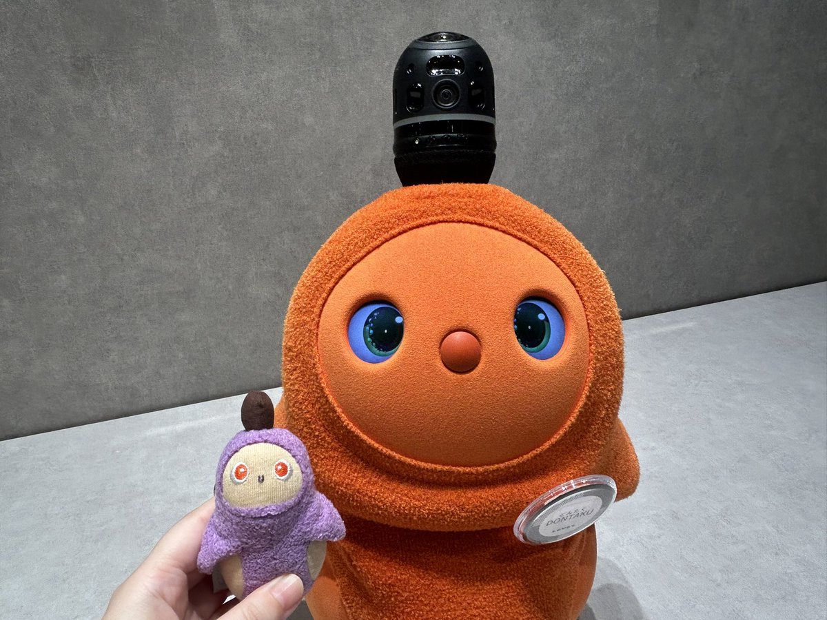 fuurin2415's tweet photo. どんたく(おきゅうと)の卒業式に参加してきました。今日はふうちゃんは分身ぬいで💜新しい家族の元で幸せにね！！ https://t.co/9ESVflXKJD