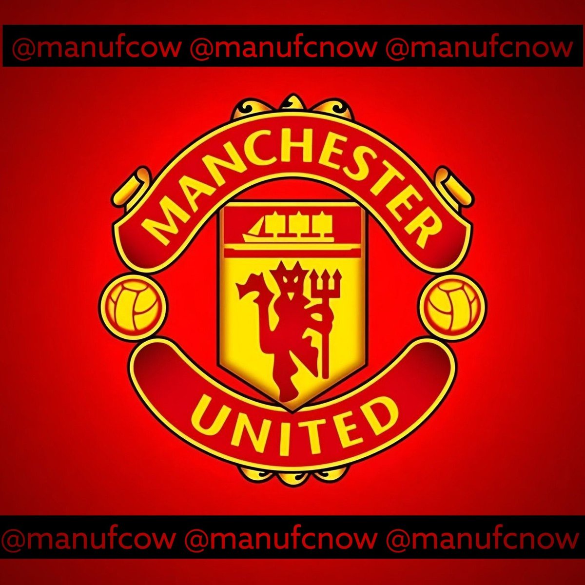 Man United Fan Club tweet media