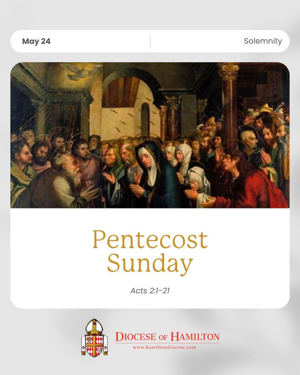 Diocese of Hamilton tweet media