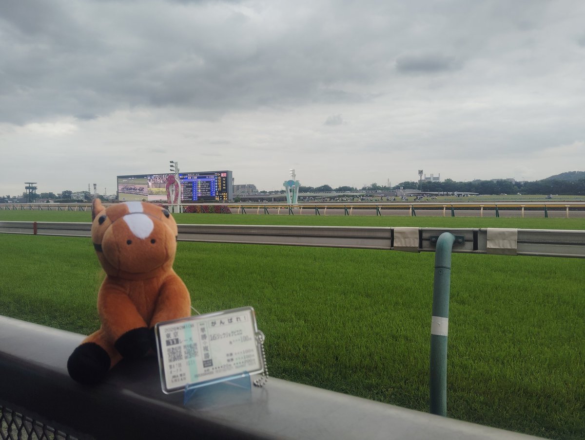 yuoasobi's tweet photo. 10月が楽しみになってきた
ジュウリョクピエロは秋華賞じゃないよ

あの日、偉大な父が
フランスで2回取りこぼした
日本の夢を　
この子が取りに行くんだよ

新しい世代の騎手を乗せて
日本競馬のエンディングが見たい https://t.co/kclCu6f2Xz