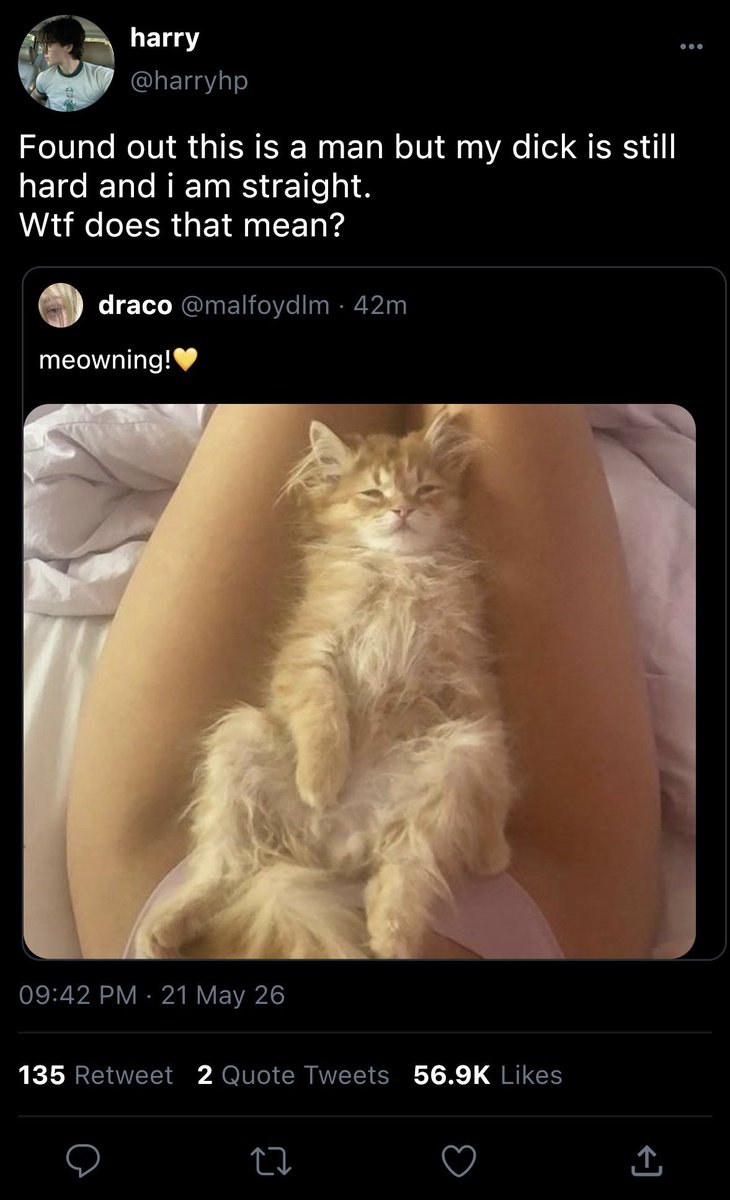 bie ⚡ tweet media