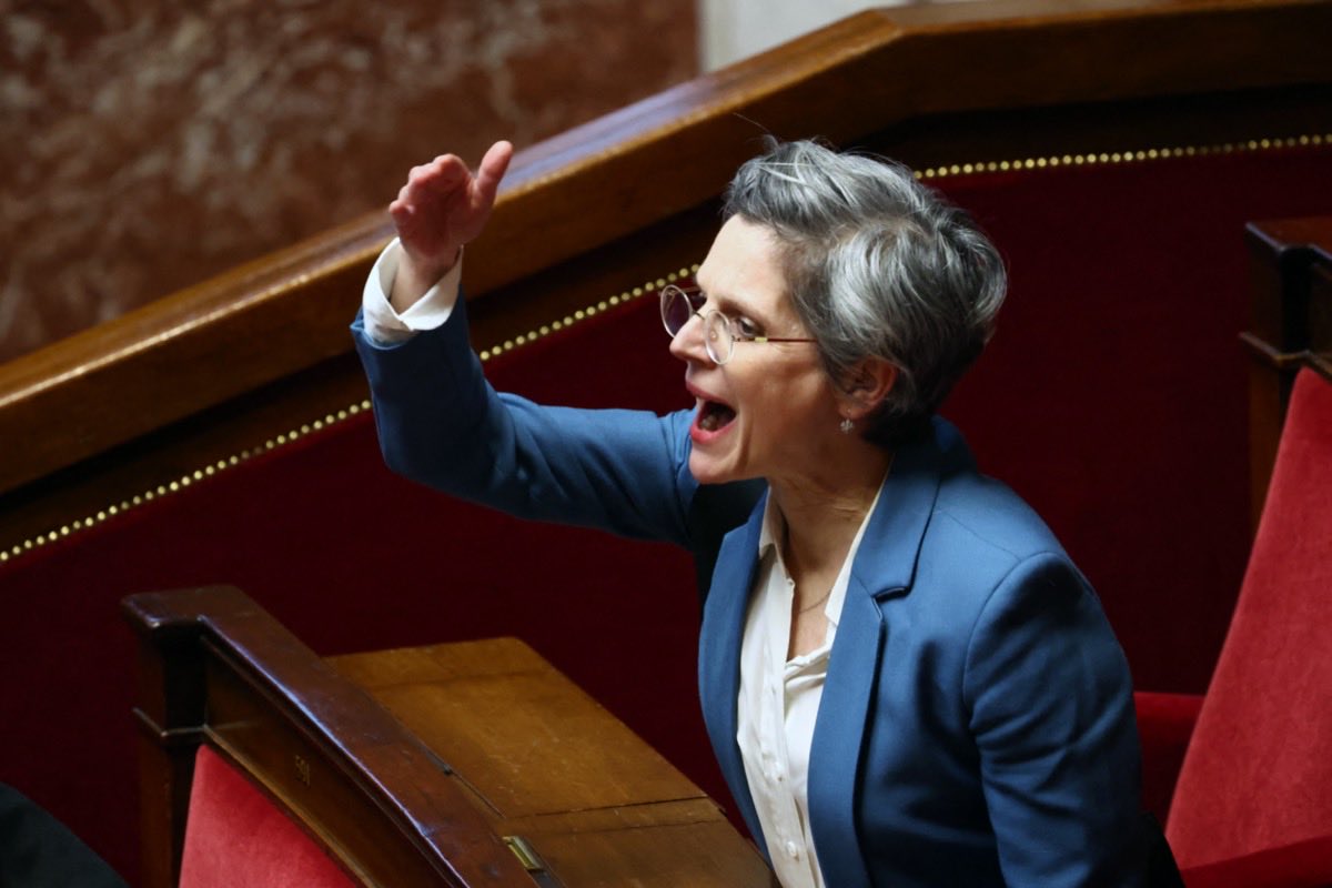 French Report tweet media
