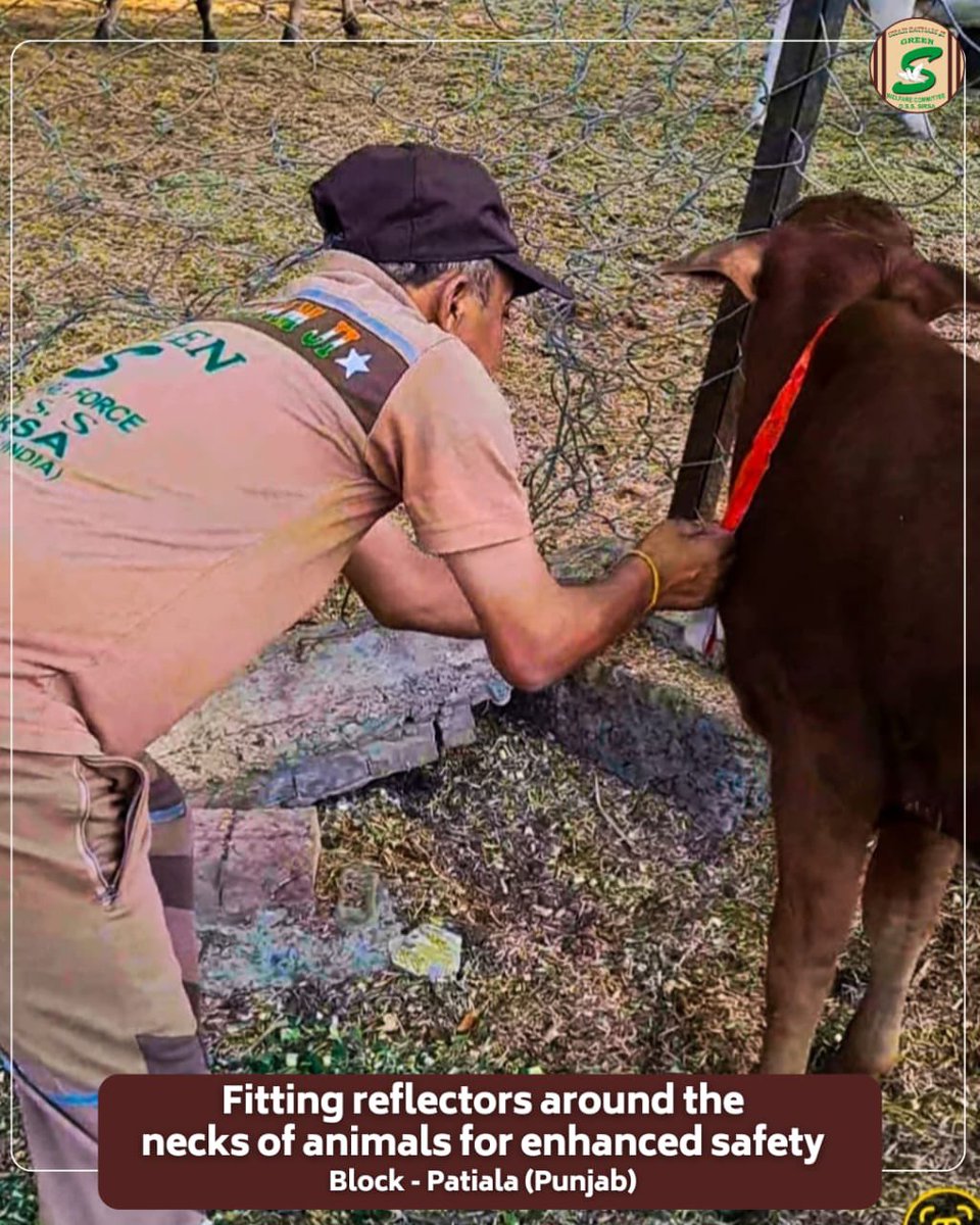 Shah Satnam Ji Green S Welfare Committee tweet media