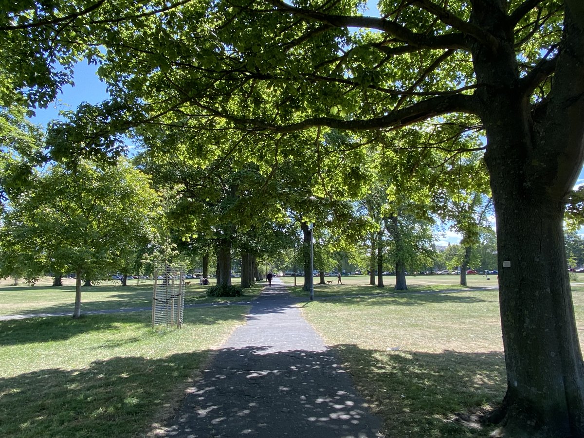 edinburgh's tweet photo. Sunny days in Leith Links are made for wandering beneath the tree lined paths and breathing in the fresh air.🌳

📍 Leith Links 

#EdinPhoto #ForeverEdinburgh https://t.co/U6SvXSG2xz