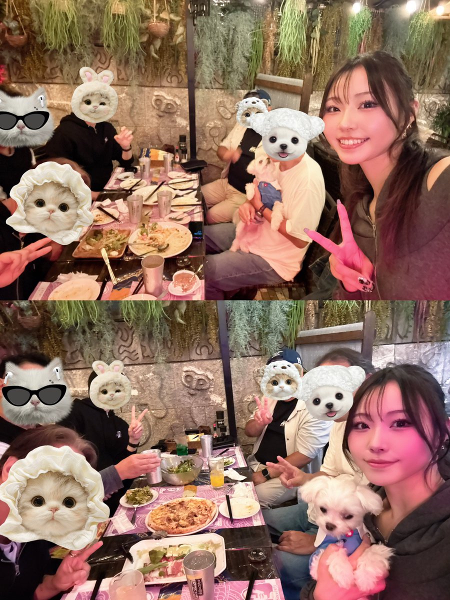有栖未桜🐈⬛🩵4/29Pharfaite Showcase4💎✨ tweet media