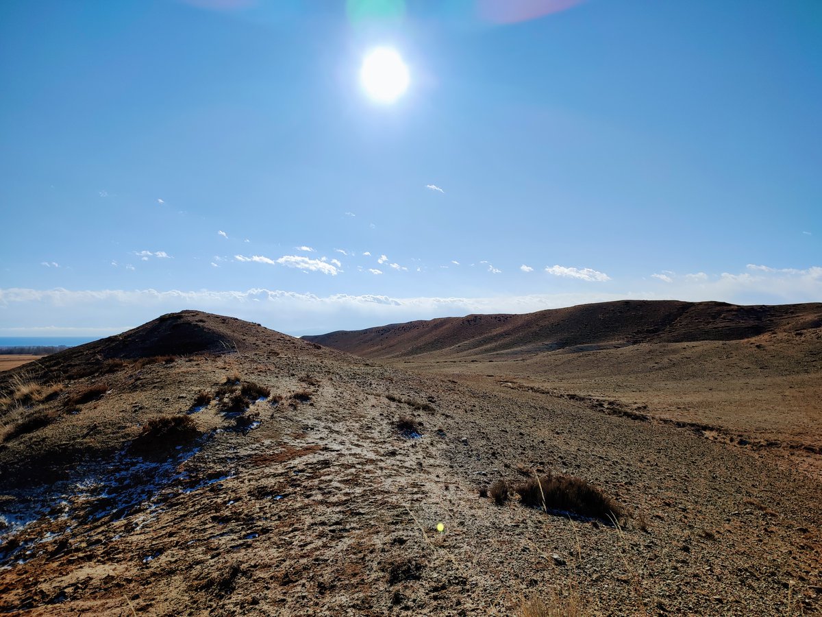 alexkyrgyztiger's tweet photo. Low dry hills, hard winter light, and small patches of snow on the ground. This quiet Kyrgyz terrain feels far from any city rhythm.
#kyrgyzstan #centralasia #landscapephotography #travelphotography #winterlight #photography https://t.co/bX3hxLiPCV