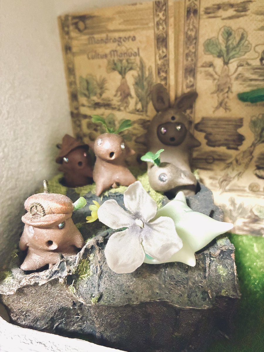 yohsuke00's tweet photo. 今回もマンドラさんが増え、混雑状況に！ https://t.co/JzgY5wupQi