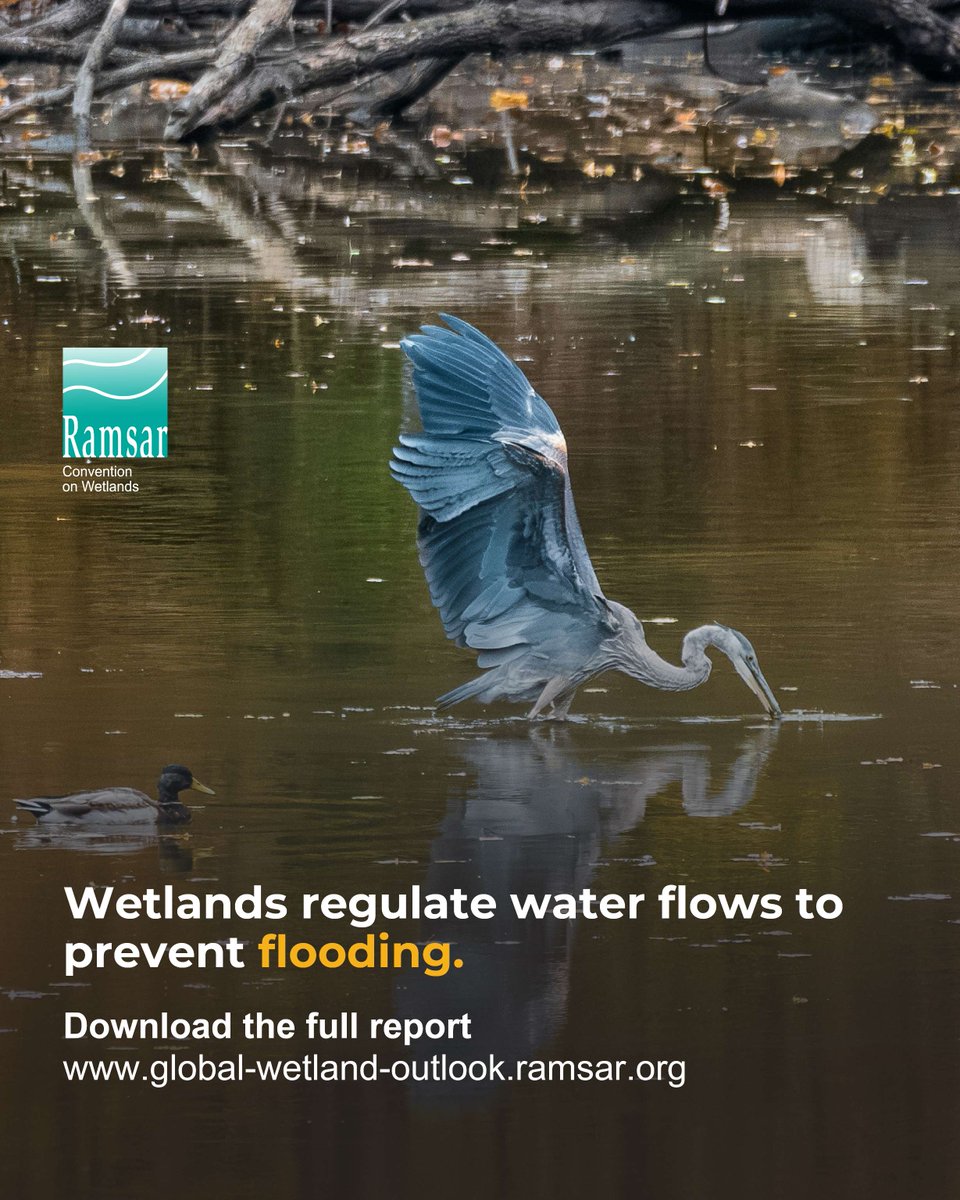 Convention on Wetlands tweet media
