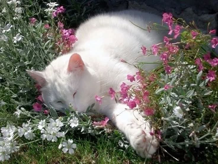 worldclick56's tweet photo. https://t.co/gUA1LgHNSl