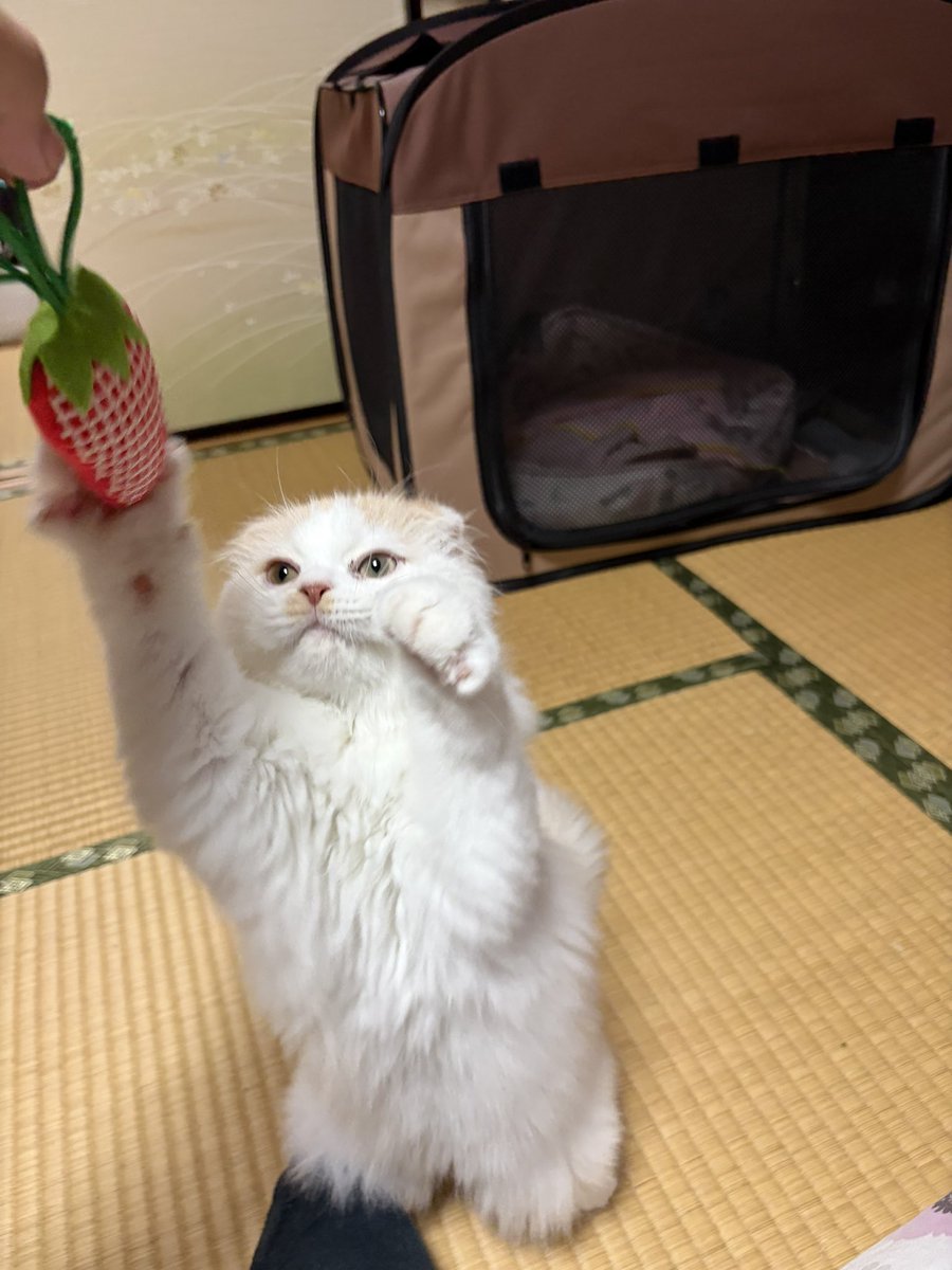 TAKAHO tweet media
