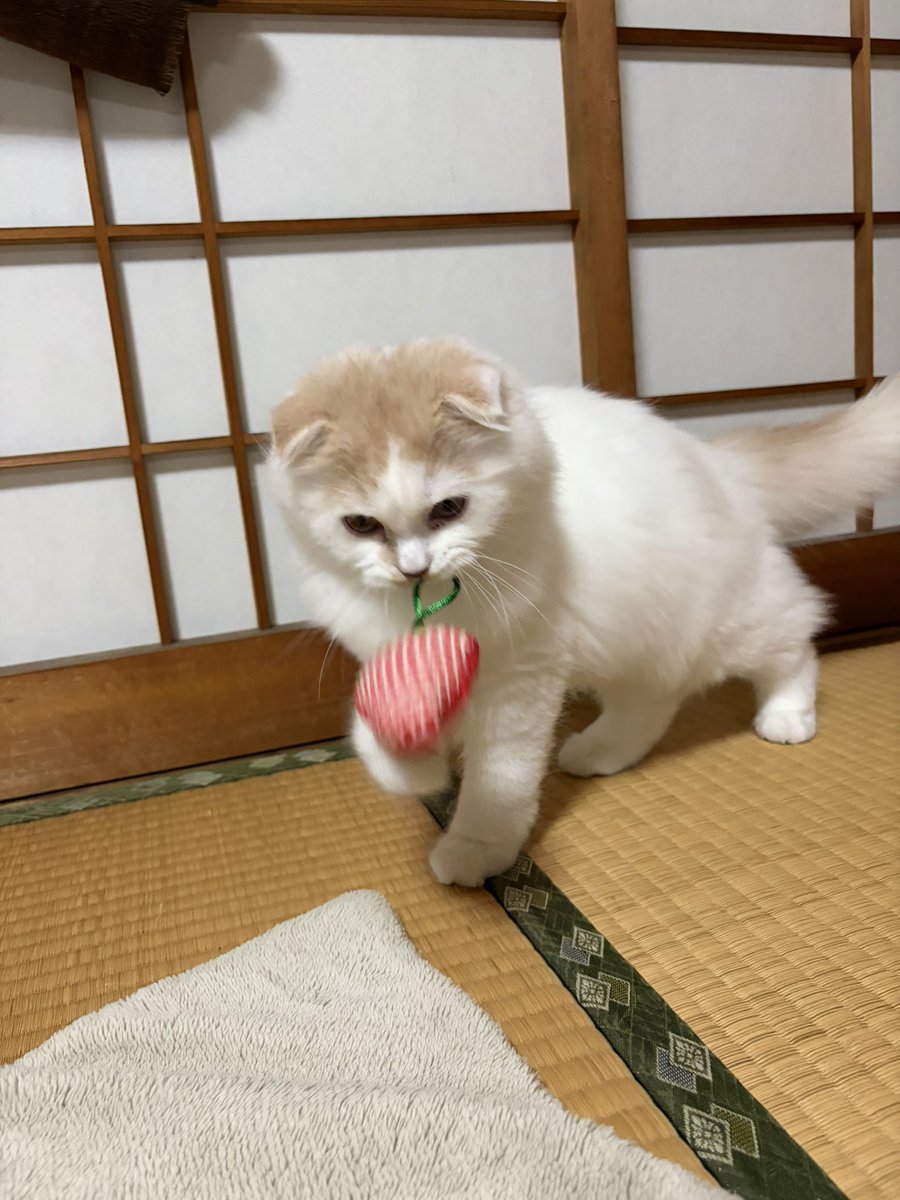 TAKAHO tweet media