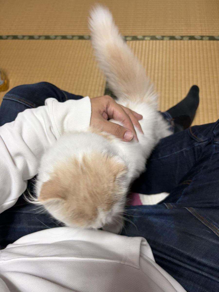 TAKAHO tweet media